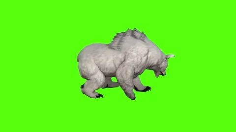 Bear Claws Attack Green Screen Animation 4K Rendering Stock Footage 295557571