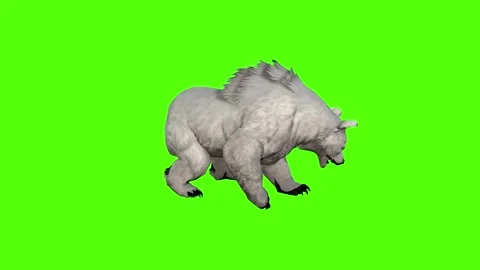 Bear Claws Attack Green Screen Animation 4K Rendering Stock Footage 295557587