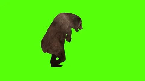 Bear Claws Attack Right Green Sccreen Animation 4k Rendering Stock Footage 296263060