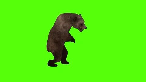 Bear Claws Attack Right Green Sccreen Animation 4k Rendering Stock Footage 296263063
