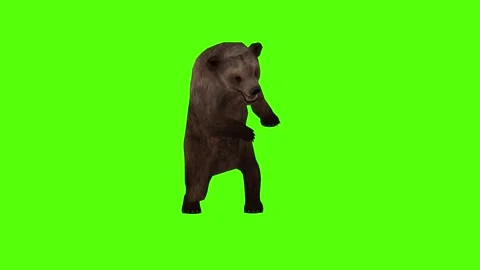 Bear Claws Attack Right Green Sccreen Animation 4k Rendering Stock Footage 296263066