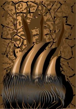 Bear claws Stock Illustration