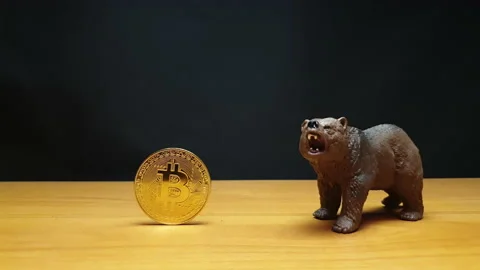 The bear comes to bitcoin 库存影片 154401204