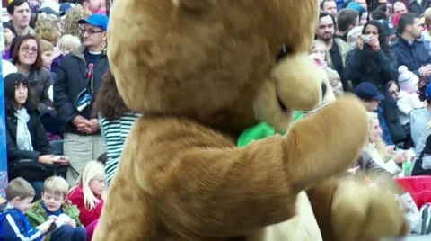 Dance Dancing Bear Stock Video Footage | Royalty Free Dance Dancing