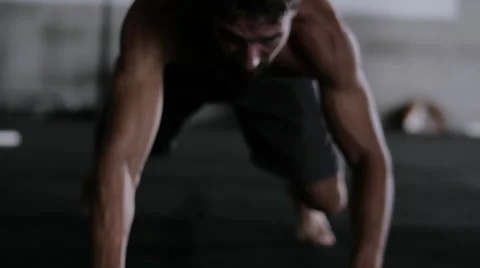 Bear Crawl 1 Stock Footage 42237714