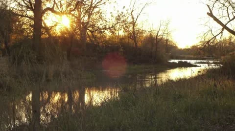 Bear Creek Video stock 9094944