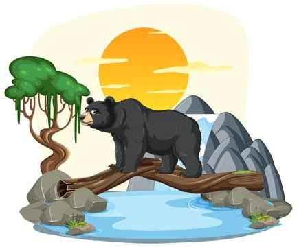Bear Crossing River at Sunset Stock Illustration
