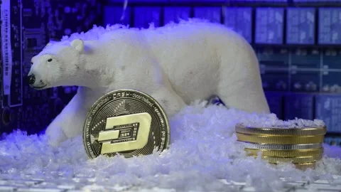 Bear crypto market concept, snow fallen on DOGEcoin, altcoin crypto 库存影片 198993391