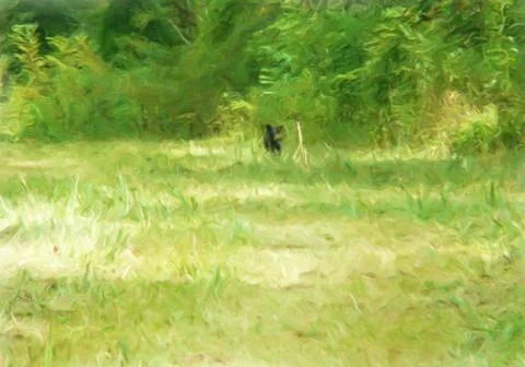 Bear Cub Stock Illustration