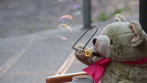 Bear cub makes soap bubbles Vidéo 80200589