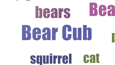 Bear Cub Isolated Stock Footage ~ Royalty Free Stock Videos | Pond5