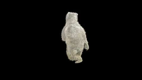 Bear Dancing, With Alpha Matte. Stock Footage 260411295