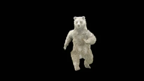 Bear Dancing, With Alpha Matte. 库存影片 263658252