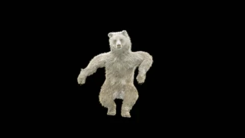 Bear Dancing, With Alpha Matte. Stock Footage 265884297