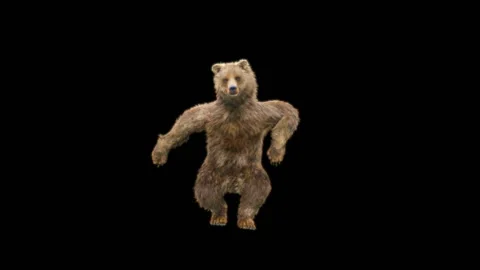 Bear Dancing, With Alpha Matte. Stock Footage 265884302
