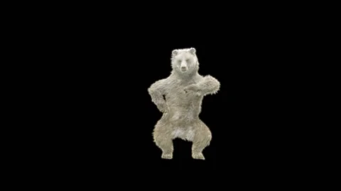Bear Dancing, With Alpha Matte. Видео 269185786
