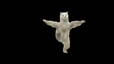 Bear Dancing, With Alpha Matte. Video stock 274963511