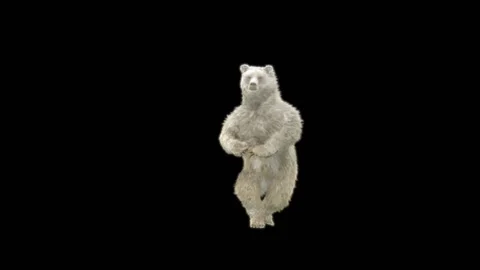 Bear Dancing, With Alpha Matte. Stockbeeldmateriaal 275941662