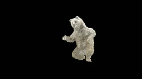 Bear Dancing, With Alpha Matte. Video stock 275942037