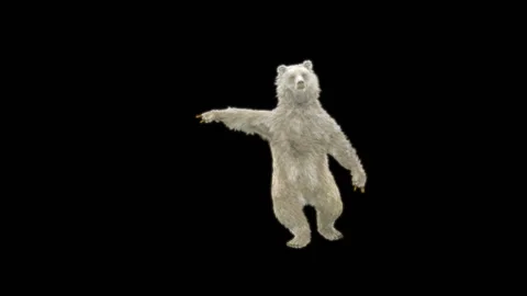 Bear Dancing, With Alpha Matte. Stock Footage 277956590