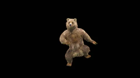 Bear Dancing, With Alpha Matte. 库存影片 278533790