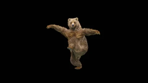 Bear Dancing, With Alpha Matte. 動画素材 278533891