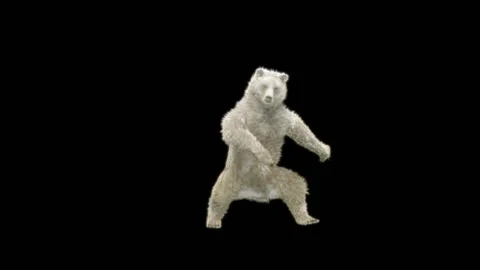 Bear Dancing, With Alpha Matte. Video stock 280317196