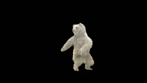 Bear Dancing, With Alpha Matte. 库存影片 285446862