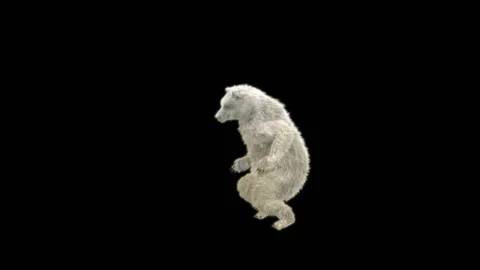 Bear Dancing, With Alpha Matte. 库存影片 285446947