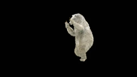 Bear Dancing, With Alpha Matte. Stock Footage 287242828