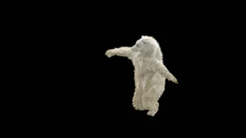 Bear Dancing, With Alpha Matte. Stock Footage 289755004