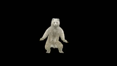 Bear Dancing, With Alpha Matte. Stock Footage 295141843