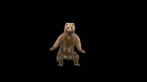 Bear Dancing, With Alpha Matte. Stockbeeldmateriaal 295141845