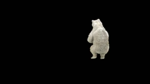 Bear Dancing, With Alpha Matte. Stock Footage 295541399