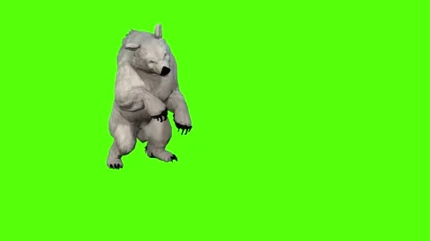 Bear Death Green Screen Animation 4K Rendering Stock Footage 295557507