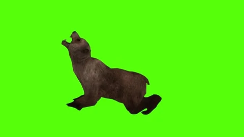 Bear Die Green Sccreen Animation 4k Rendering Stock Footage 296263062
