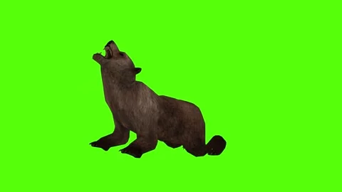 Bear Die Green Sccreen Animation 4k Rendering Stock Footage 296263064