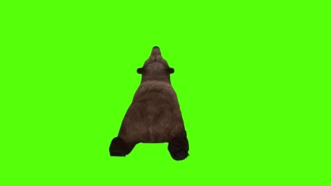 Bear Die Green Sccreen Animation 4k Rendering Stock Footage 296263070