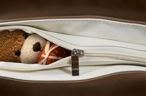 Bear doll in a brown bag Stock Photos