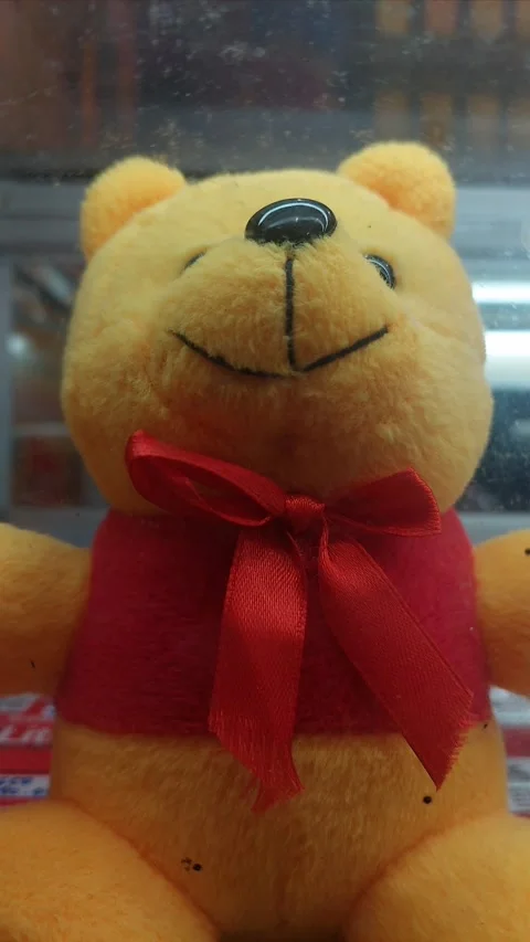 Bear Doll Closeup in Dark, Vertical Video stock 281569420