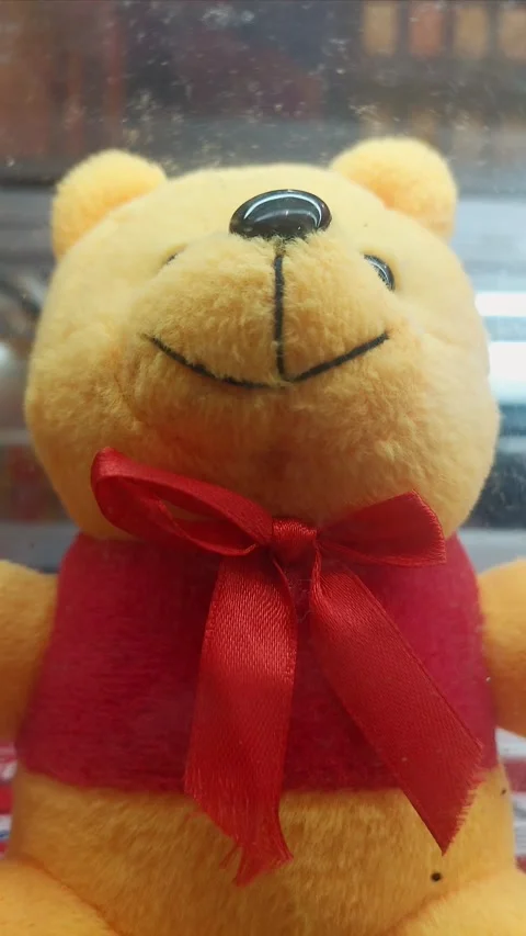 Bear Doll Closeup in Glass Box, Vertical 動画素材 281569449