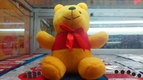 Bear Doll in Glass Case Video stock 281569136