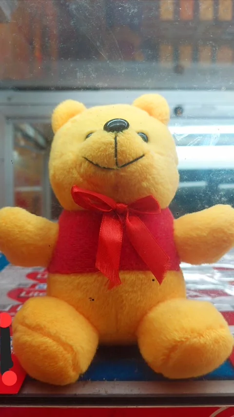 Bear Doll in Glass Case, Vertical Stock Footage 281569374