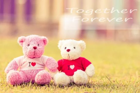 Bear doll Stock Photos