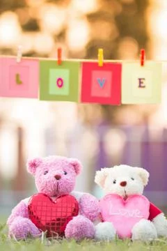 Bear doll Stock Photos