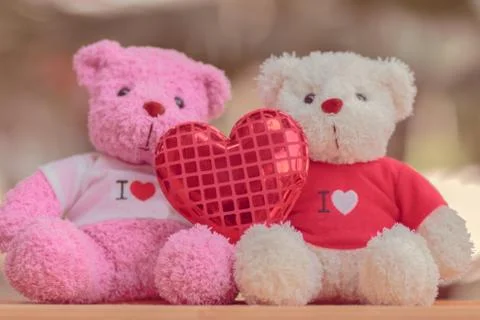 Bear doll Stock Photos