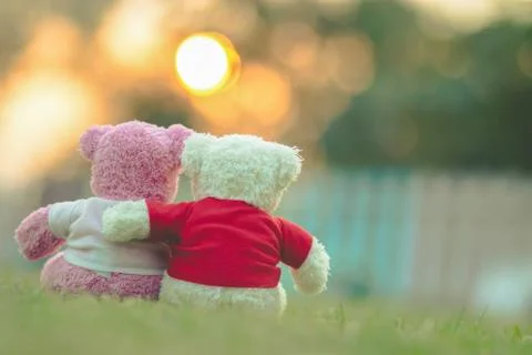 Bear doll Stock Photos