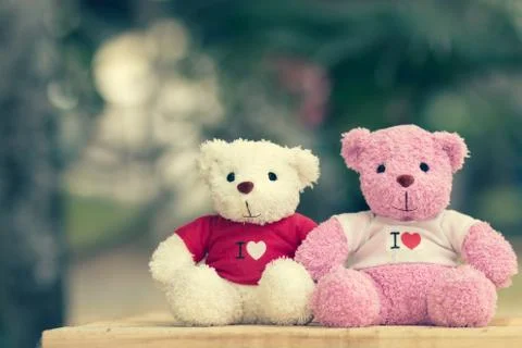 Bear doll Stock Photos
