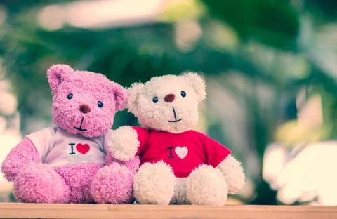Bear doll Stock Photos