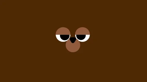 BEAR FACE Stock Footage 334461595